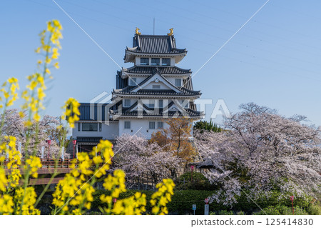 角又谷城週邊的春日景色 125414830