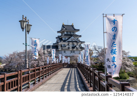 Spring scenery around Suminomata Ichiya Castle Spring scenery around Suminomata Ichiya Castle 125414837