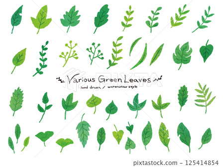 一組水彩葉插圖 一組水彩葉插圖 125414854