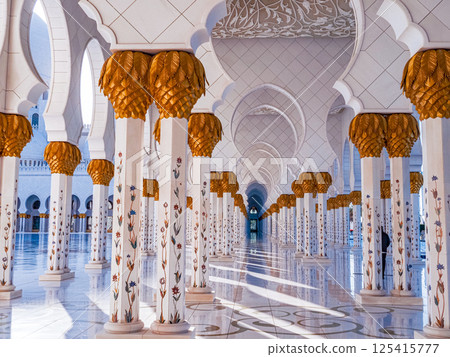 謝赫扎耶德清真寺走廊 125415777