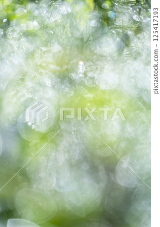 Fresh greenery in the park, sparkling fantasy Fresh greenery in the park, sparkling fantasy 125417193