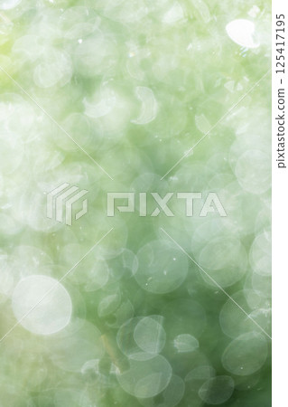 Fresh greenery in the park, sparkling fantasy Fresh greenery in the park, sparkling fantasy 125417195