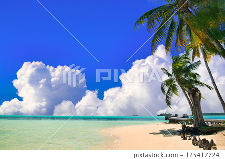 帕勞美麗的珊瑚礁海 帕勞美麗的珊瑚礁海 125417724