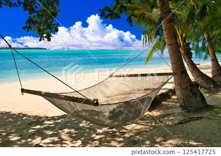 帕勞美麗的珊瑚礁海 125417725