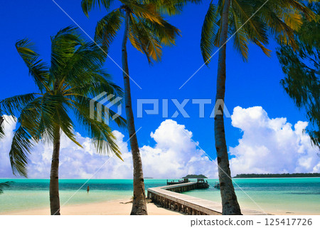 帕勞美麗的珊瑚礁海 帕勞美麗的珊瑚礁海 125417726