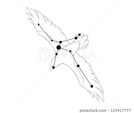 阿奎拉的線條圖畫插圖 阿奎拉的線條圖畫插圖 125417777