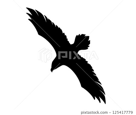 一隻展翅飛翔的雄鷹的剪影插圖 125417779