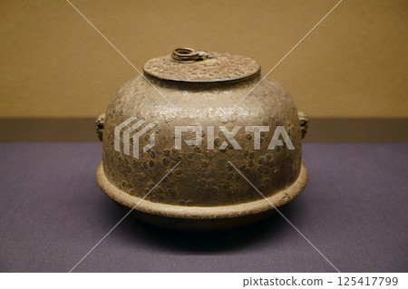 7844 Yamabuki pattern true shape kettle 7844 Yamabuki pattern true shape kettle 125417799