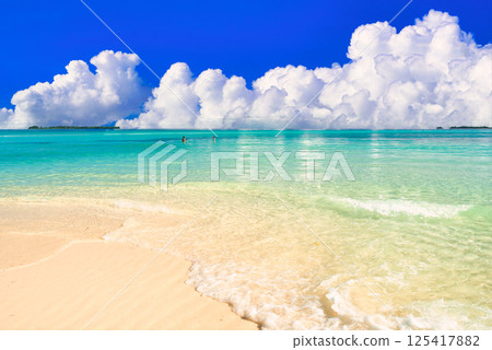 帕勞美麗的珊瑚礁海 125417882