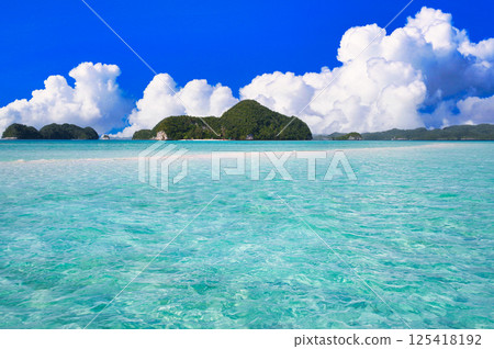 帕勞美麗的珊瑚礁海 125418192