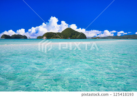 帕勞美麗的珊瑚礁海 帕勞美麗的珊瑚礁海 125418193