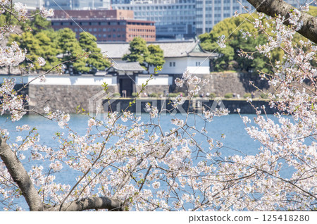 東京千代田區皇居外苑櫻田門和櫻花 125418280