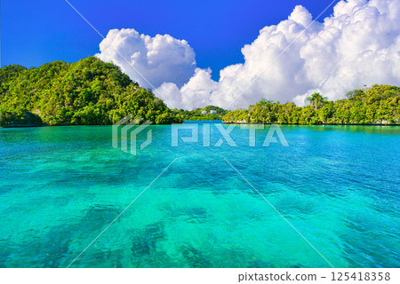帕勞美麗的珊瑚礁海 125418358