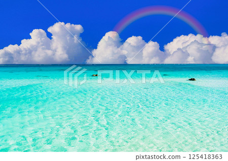 17. 恩德海灘 (End Beach) 的美麗珊瑚礁 17. 恩德海灘 (End Beach) 的美麗珊瑚礁 125418363