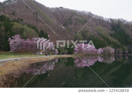 信州安曇野中津湖，以大山櫻花聞名，是仁科湖的中湖 125418658