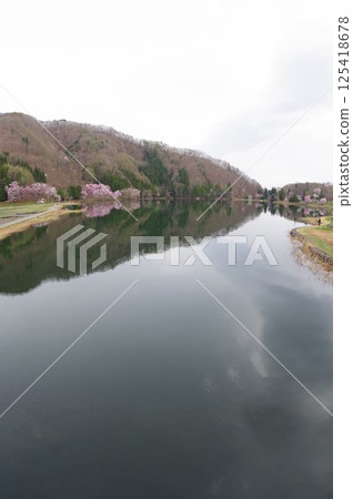 信州安曇野中津湖，以大山櫻花聞名，是仁科湖的中湖 125418678