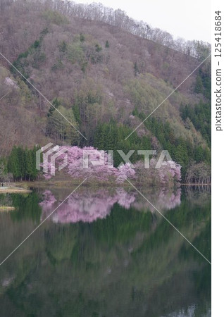 Shinshu Azumino Lake Nakatsuna, famous for its Oyamazakura cherry blossoms, the middle lake of the Nishina Lakes 125418684