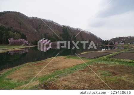 Shinshu Azumino Lake Nakatsuna, famous for its Oyamazakura cherry blossoms, the middle lake of the Nishina Lakes Shinshu Azumino Lake Nakatsuna, famous for its Oyamazakura cherry blossoms, the middle lake of the Nishina Lakes 125418686