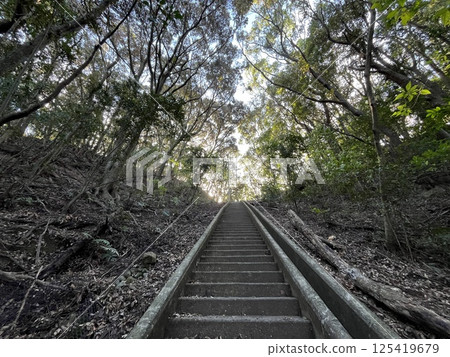 Spooky stairs 125419679