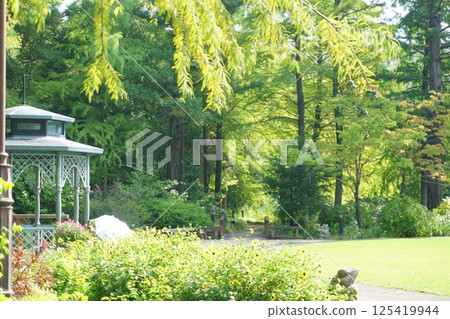 帶有涼亭景觀的花園 帶有涼亭景觀的花園 125419944