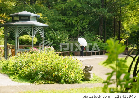 A park with a gazebo in early summer A park with a gazebo in early summer 125419949