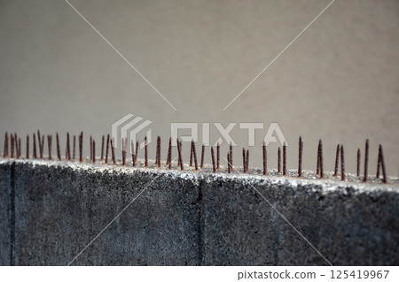 Bird-repellent spikes lined up on a block wall 125419967