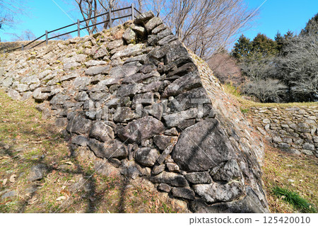 Mikawa Province "Ichiba Castle" - Current state of stone walls and enclosures 125420010