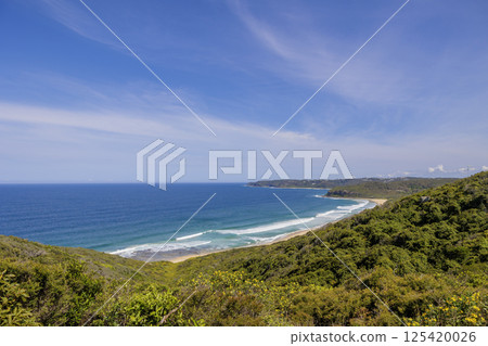 從紐卡斯爾山看到的海灘 從紐卡斯爾山看到的海灘 125420026