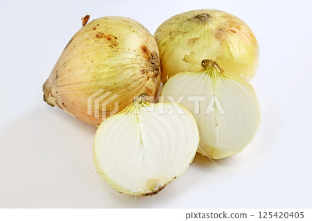 新洋蔥 125420405