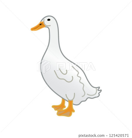 Illustration of a duck 125420571