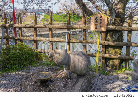 角又谷城週邊的春日景色 125420623