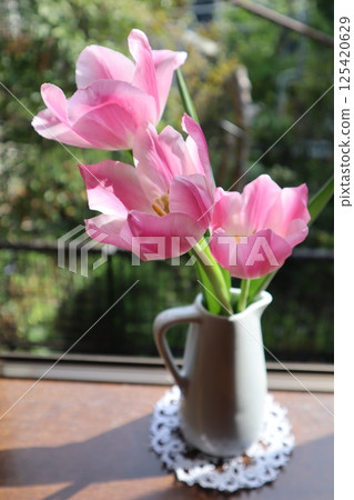 安排花園裡盛開的鬱金香 125420629