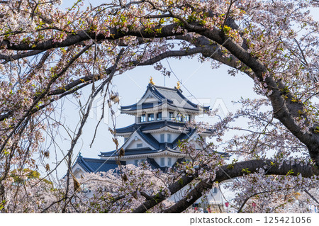 Spring scenery around Suminomata Ichiya Castle Spring scenery around Suminomata Ichiya Castle 125421056