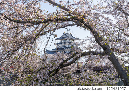 Spring scenery around Suminomata Ichiya Castle Spring scenery around Suminomata Ichiya Castle 125421057