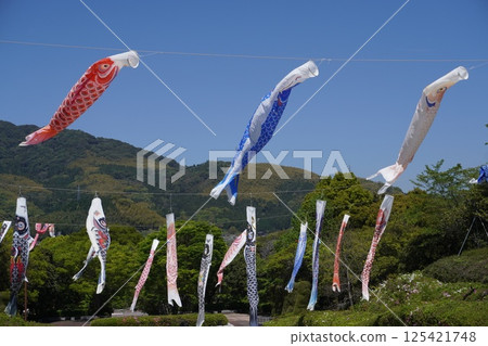 季節:五月的季節特色:鯉魚旗 季節:五月的季節特色:鯉魚旗 125421748