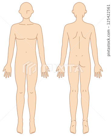 Simple male nude illustration (front and back) 125422561