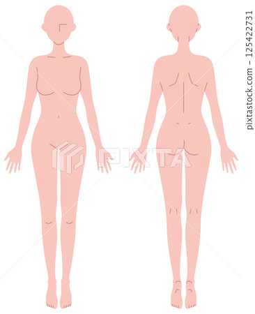 Simple nude illustration of a woman (front and back) 125422731