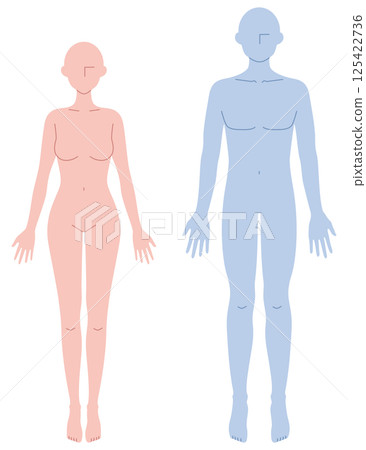 Simple nude illustration of a man and woman facing forward 125422736