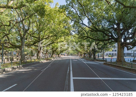 Miyazaki Prefectural Government Forefront Namiki Street 125423185