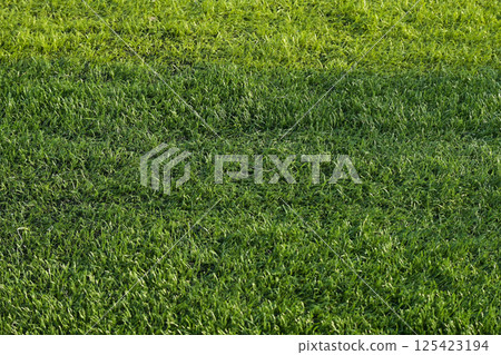 artificial green grass turf sport soccer field with black rubber granules infill 125423194