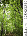Mountain trail with fresh greenery 125423259