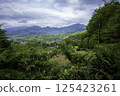 Distant view of Mt. Daisen from the hiking trail 125423261