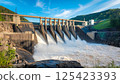 dam in forest 125423393