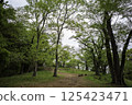 Mountain trail with fresh greenery 125423471