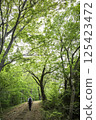 Mountain trail with fresh greenery 125423472