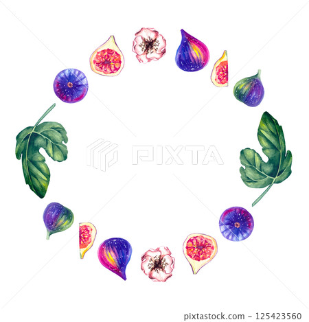 Watercolor hand drawn fig isolated on white Watercolor hand drawn fig isolated on white 125423560