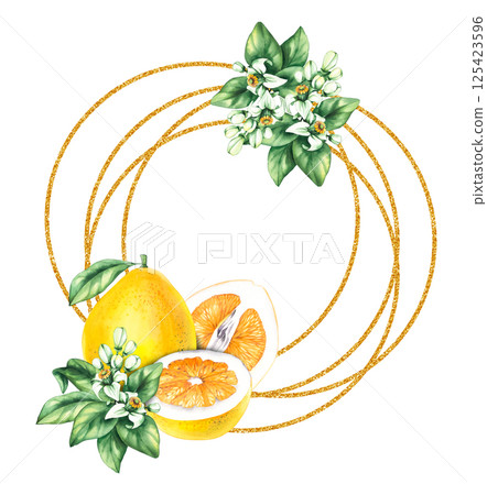 Pomelo citrus fruit watercolor hand painted Pomelo citrus fruit watercolor hand painted 125423596