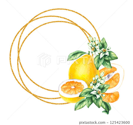 Pomelo citrus fruit watercolor hand painted Pomelo citrus fruit watercolor hand painted 125423600
