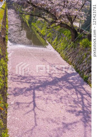 Flower rafts on the Philosopher's Path in Kyoto 125423781