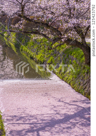 Flower rafts on the Philosopher's Path in Kyoto 125423792
